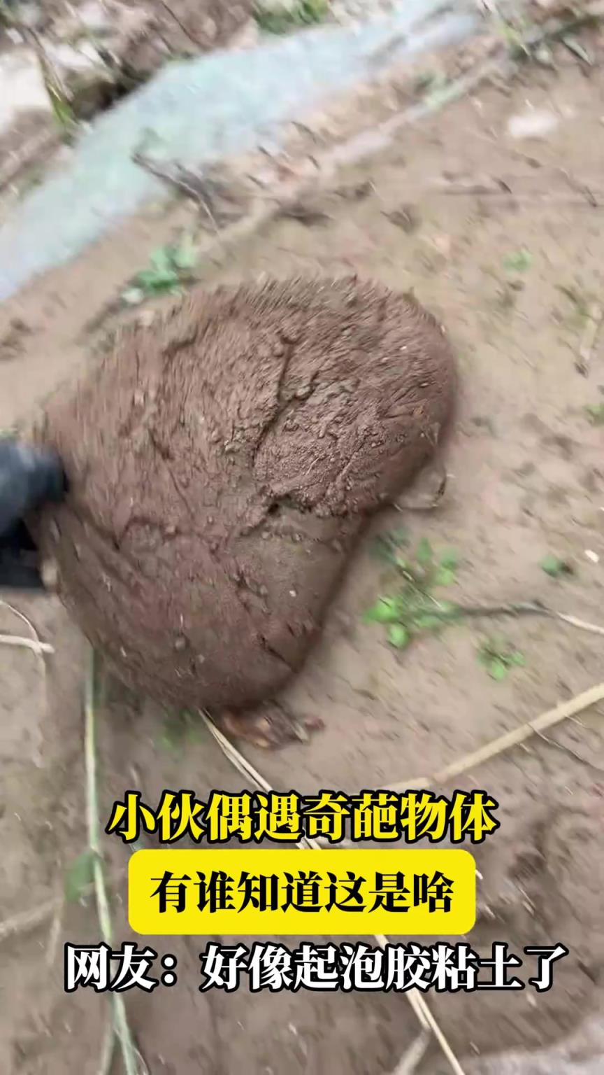 小伙偶遇奇葩物体，有谁知道这是啥，网友：好像起泡胶粘土了