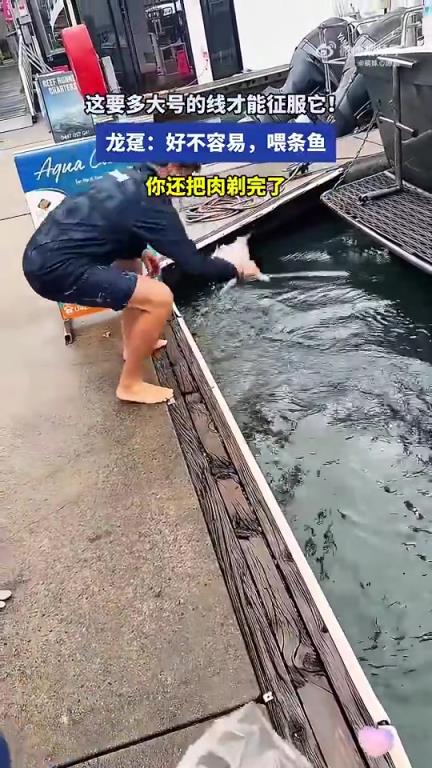 这要多大号的线才能征服它！