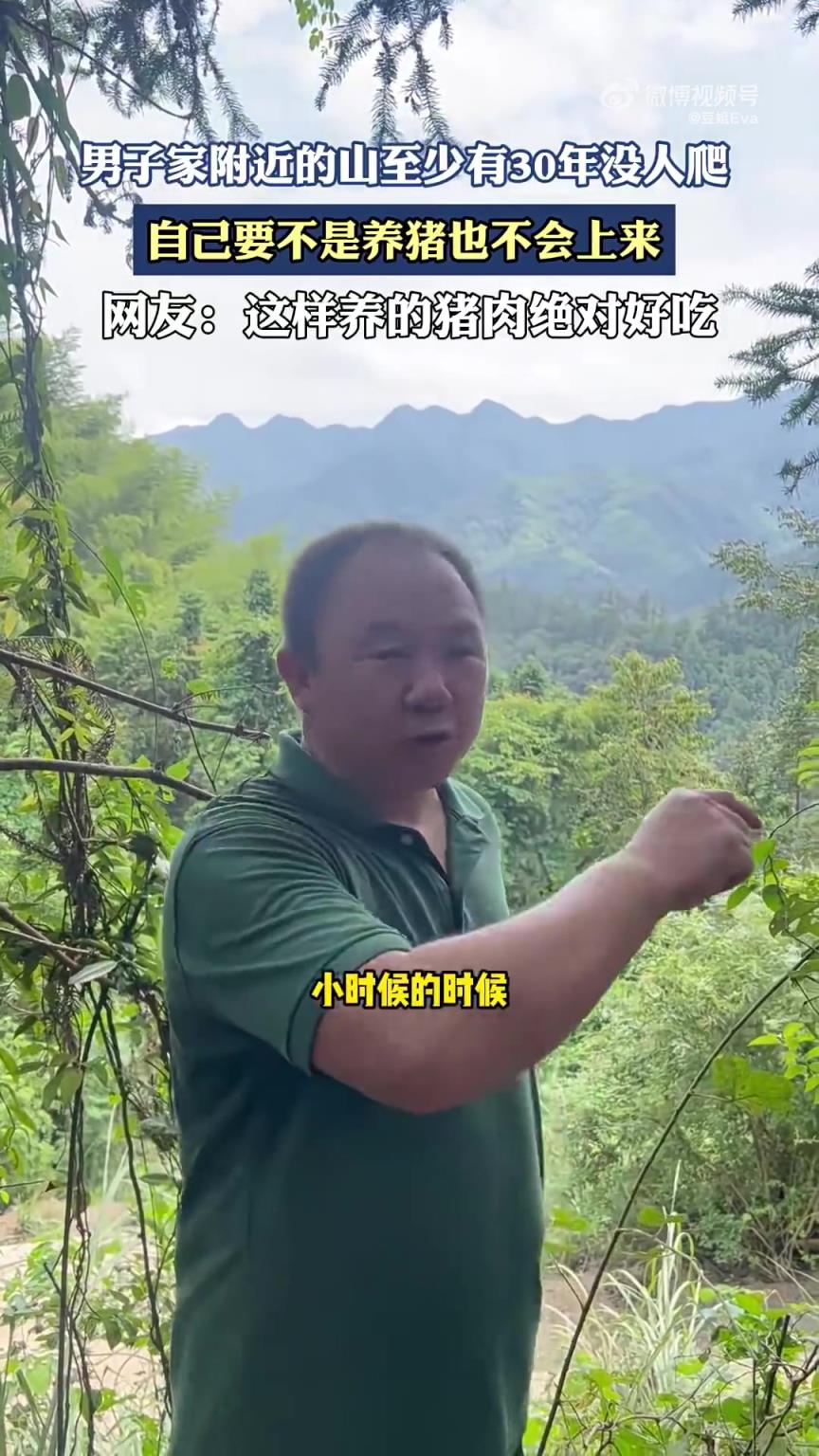 男子家附近的山至少有30年没人爬,自己要不是养猪也不会上来