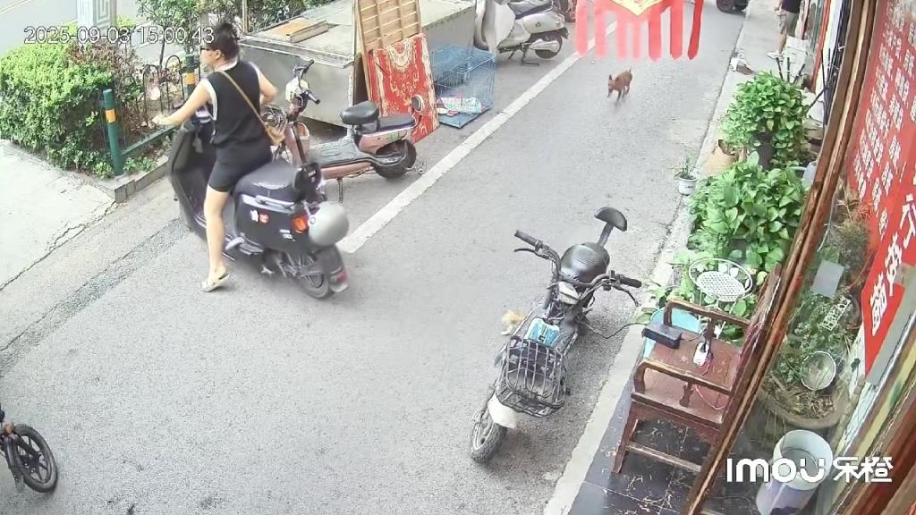 小猫：人，我的盖世英雄！