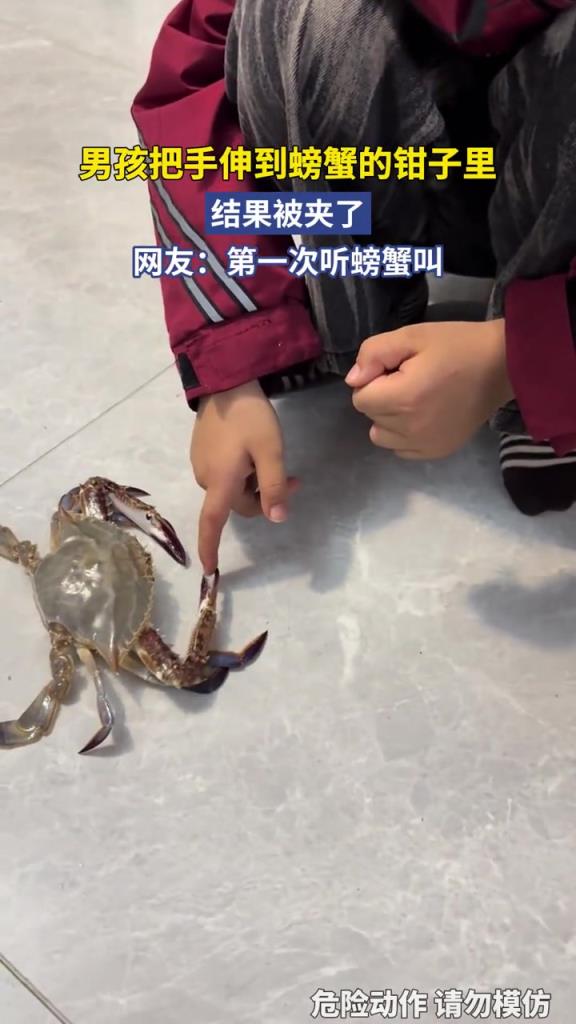 男孩把手伸到螃蟹的钳子里,结果被夹了！！