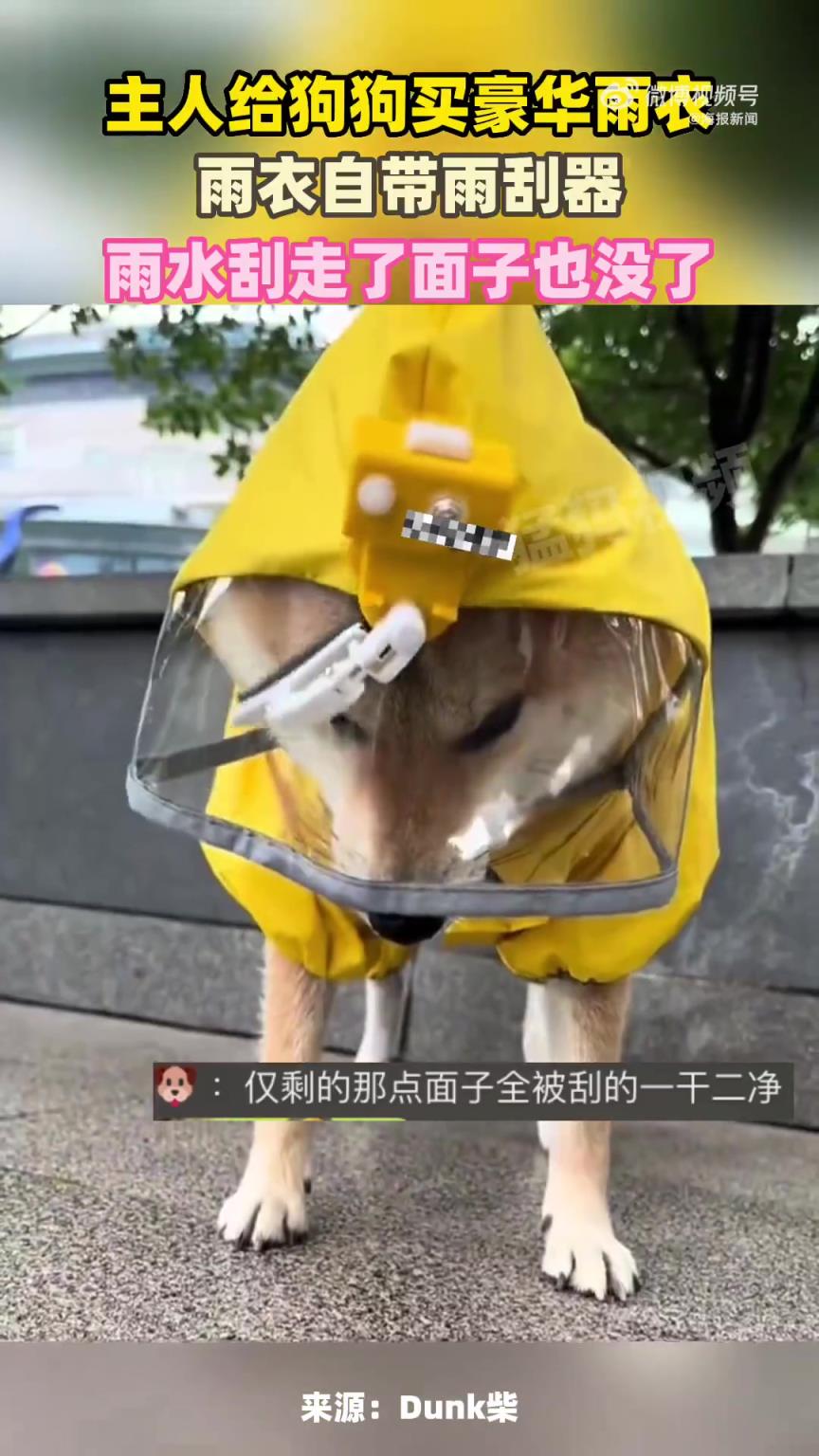 狗狗的豪华雨衣还自带雨刮器