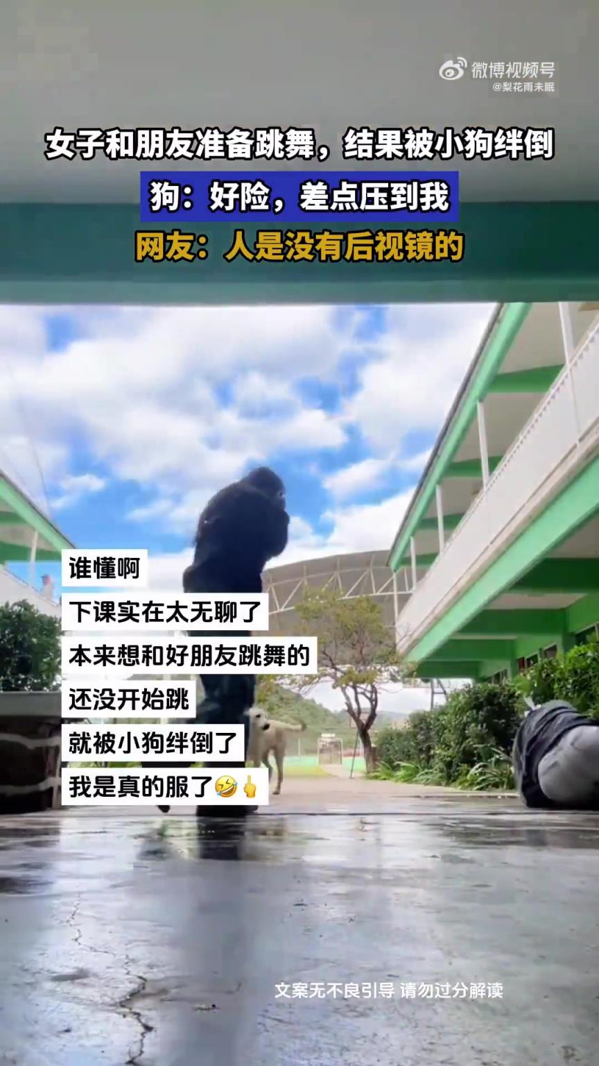 女子和朋友准备跳舞，结果被小狗绊倒