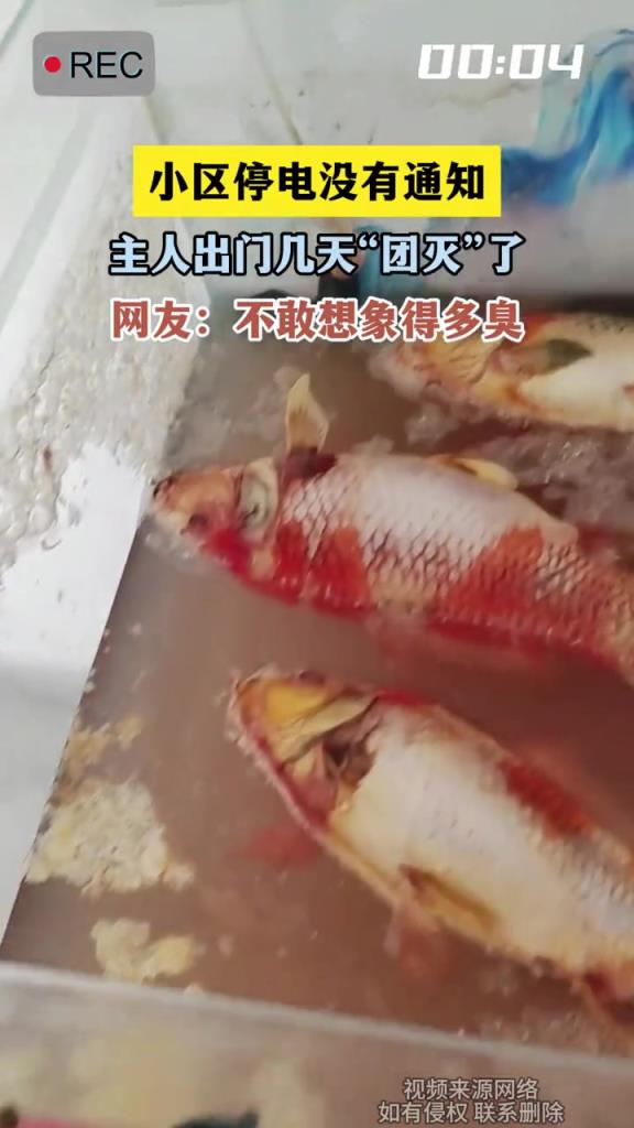 小区停电没有通知,主人出门几天“团灭”了