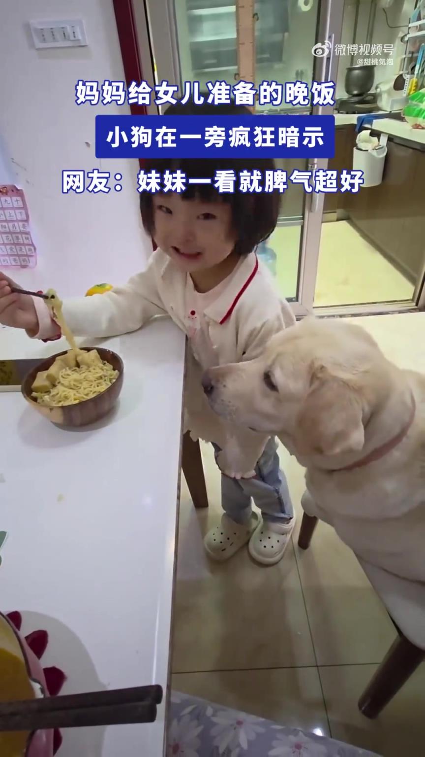 妈妈给女儿准备的晚饭，小狗在一旁疯狂暗示