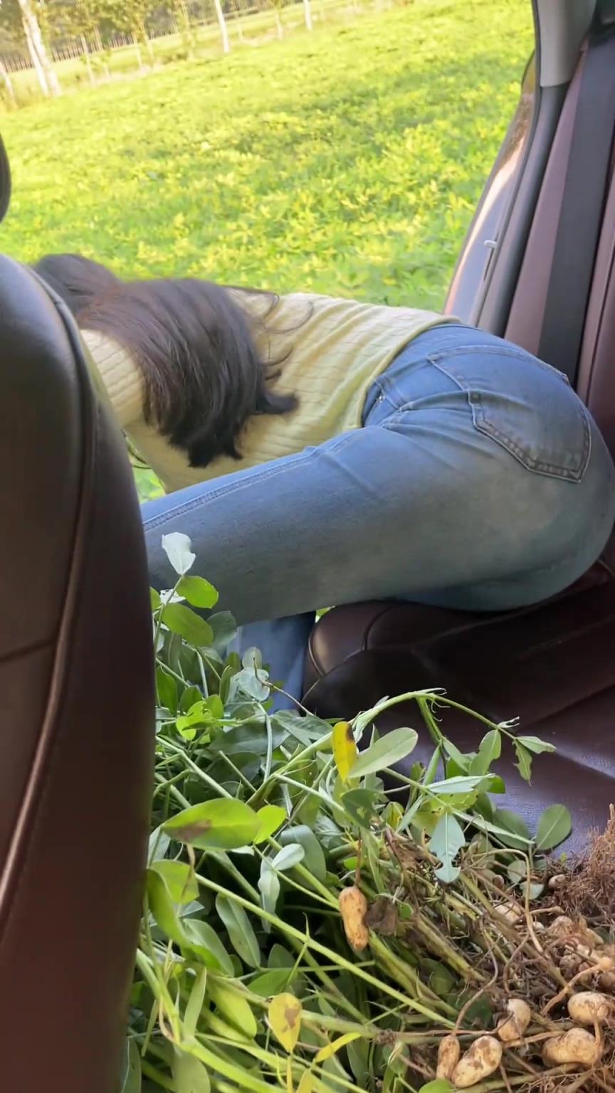 没想到吧！坐这么好的车的女人，居然偷花生！