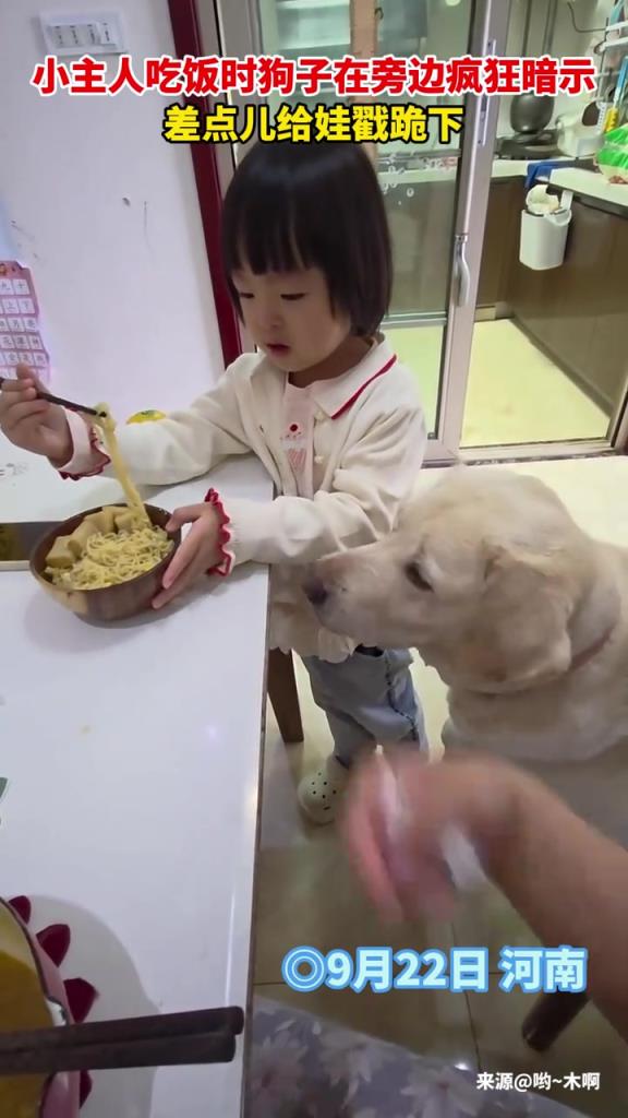 狗子急得都快说话了