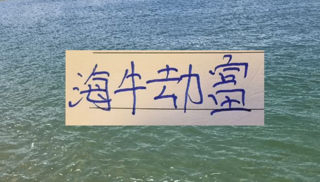 海牛劫富济贫！接连在山东 成都 北京国安拿到分数 李太守可不吹