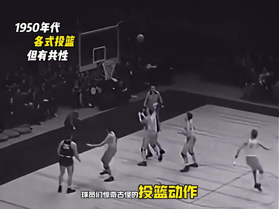 多看几遍，凭你的直观发现他们的共性！
