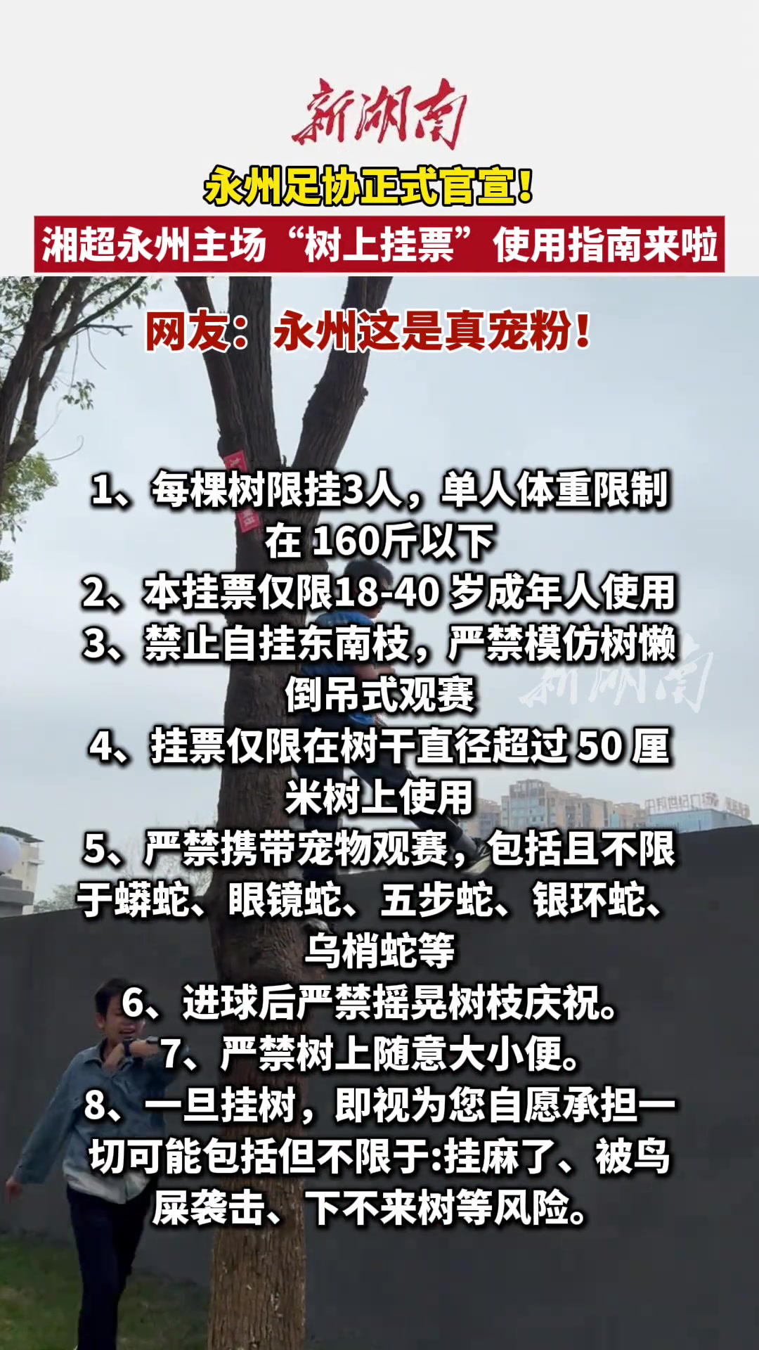 “湘超”永州出台“树上挂票”指南！每棵树限挂3人+承担鸟屎风险